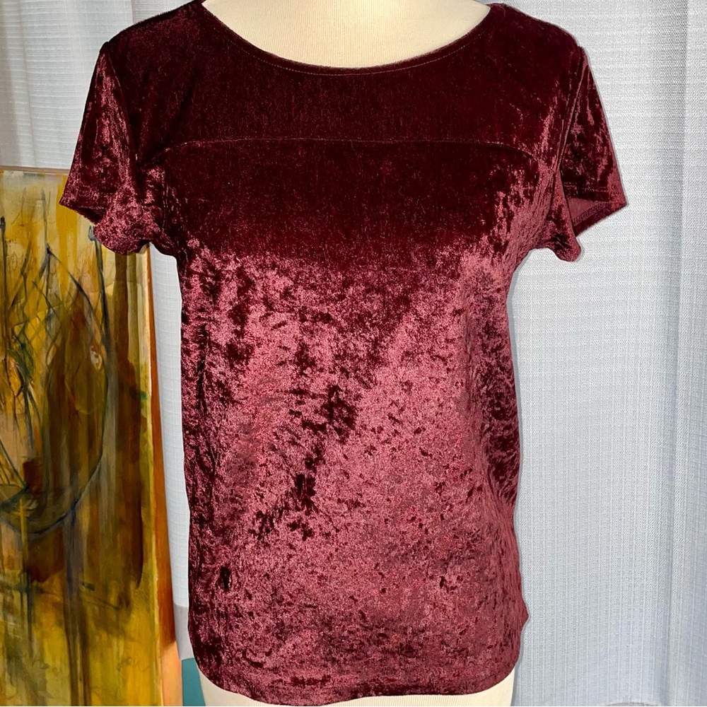 Maroon Velvet Top